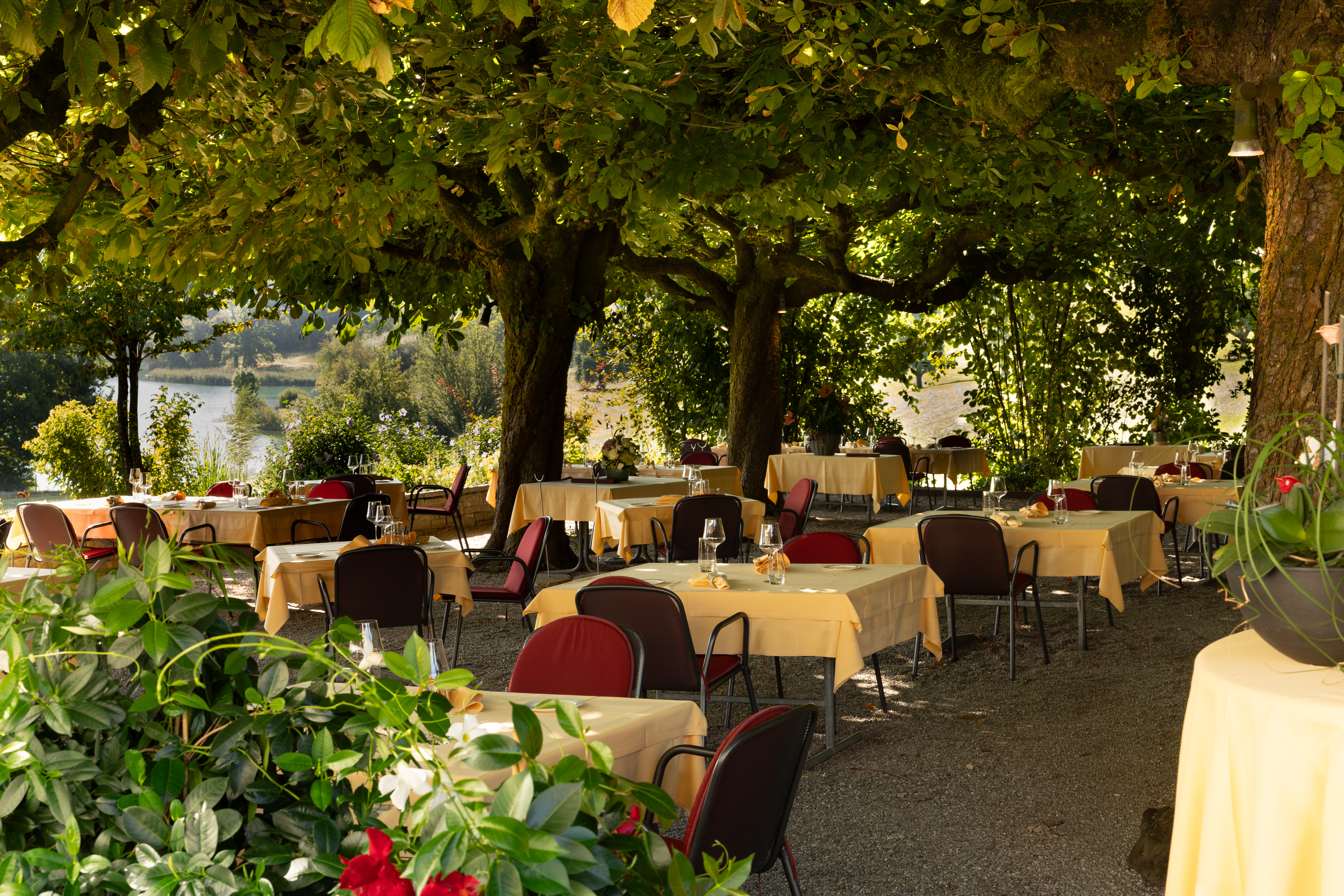 Garten mit Blick auf den Zugersee